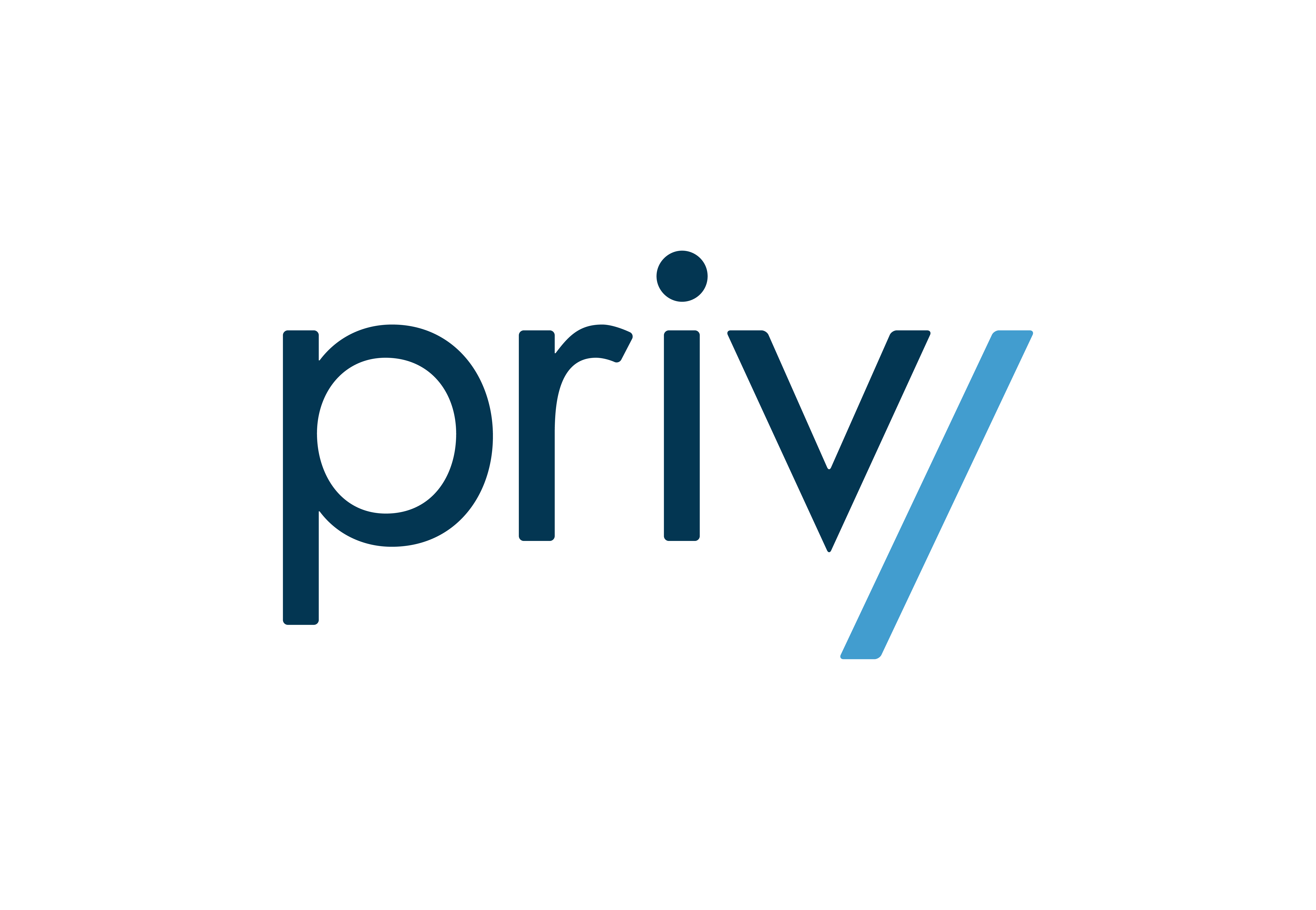 Primary Privy Logo Blue 2024 02 06